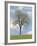Tree Seasons I-Bill Coleman-Framed Giclee Print