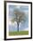 Tree Seasons I-Bill Coleman-Framed Giclee Print