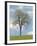 Tree Seasons I-Bill Coleman-Framed Giclee Print