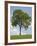 Tree Seasons II-Bill Coleman-Framed Giclee Print