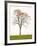 Tree Seasons III-Bill Coleman-Framed Giclee Print