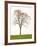 Tree Seasons III-Bill Coleman-Framed Giclee Print