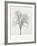 Tree Seasons IV-Bill Coleman-Framed Giclee Print