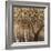 Tree Shade-Tim O'toole-Framed Giclee Print