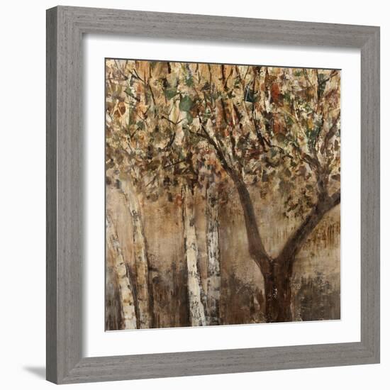 Tree Shade-Tim O'toole-Framed Giclee Print