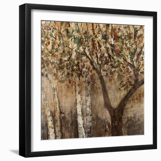 Tree Shade-Tim O'toole-Framed Giclee Print