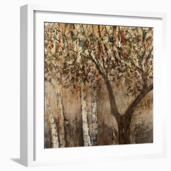 Tree Shade-Tim O'toole-Framed Giclee Print