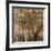Tree Shade-Tim O'toole-Framed Giclee Print