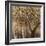 Tree Shade-Tim O'toole-Framed Giclee Print