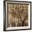 Tree Shade-Tim O'toole-Framed Giclee Print