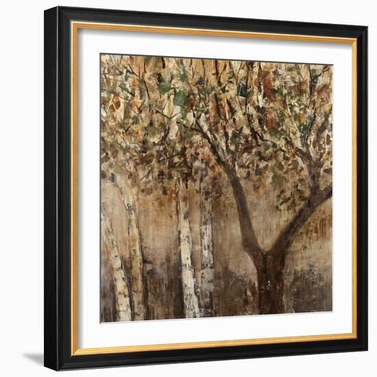 Tree Shade-Tim O'toole-Framed Giclee Print