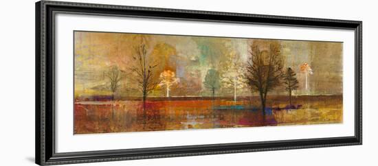 Tree Shadows I-Douglas-Framed Giclee Print