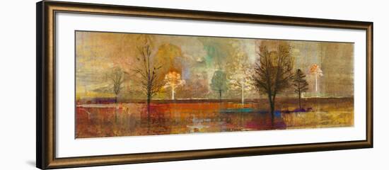 Tree Shadows I-Douglas-Framed Giclee Print