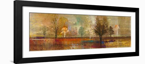 Tree Shadows I-Douglas-Framed Giclee Print