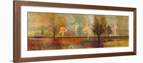 Tree Shadows I-Douglas-Framed Giclee Print