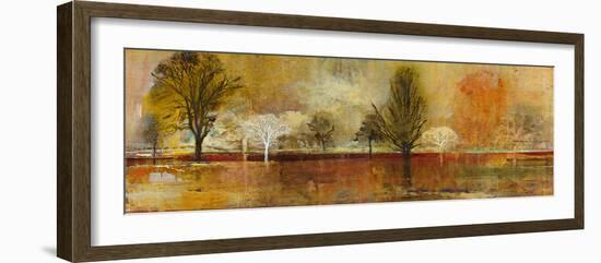 Tree Shadows II-Douglas-Framed Giclee Print