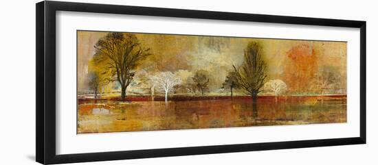 Tree Shadows II-Douglas-Framed Giclee Print