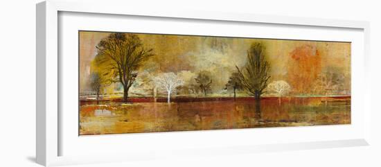 Tree Shadows II-Douglas-Framed Giclee Print