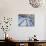 Tree Shadows, Morzine-Andrew Macara-Giclee Print displayed on a wall
