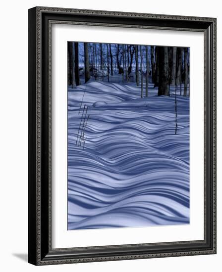 Tree Shadows on Snowy Two Track, Deerton, Michigan, USA-Claudia Adams-Framed Photographic Print