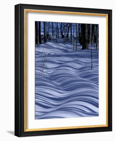 Tree Shadows on Snowy Two Track, Deerton, Michigan, USA-Claudia Adams-Framed Photographic Print