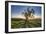 Tree Shadows-Chris Moyer-Framed Photographic Print