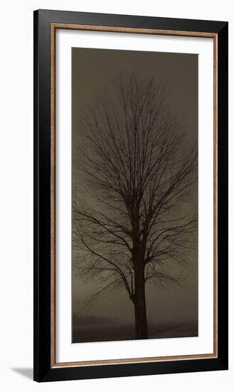 Tree Silhouette-null-Framed Art Print