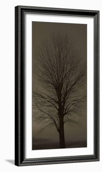 Tree Silhouette-null-Framed Art Print