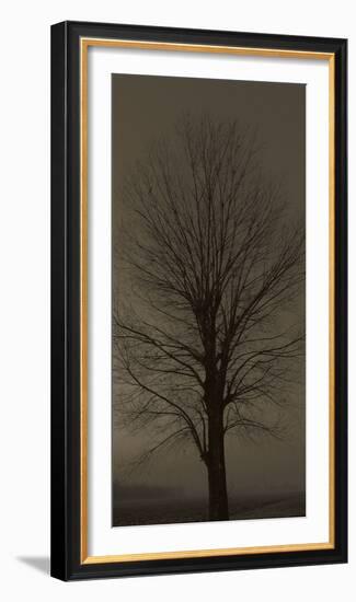 Tree Silhouette-null-Framed Art Print
