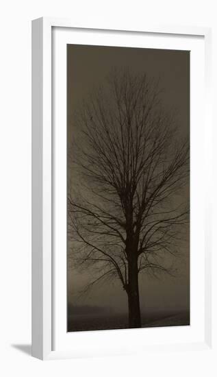 Tree Silhouette-null-Framed Art Print