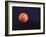 Tree Silhouetted Against Full Moon, Arizona, USA-Charles Sleicher-Framed Photographic Print