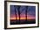 Tree Silhouettes at Sunrise, Maine Coast-Vincent James-Framed Photographic Print