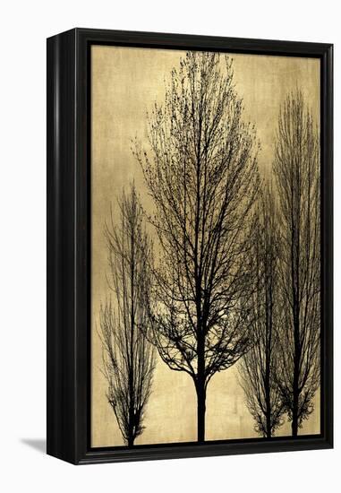 Tree Silhutette on Gold II-Kate Bennett-Framed Stretched Canvas