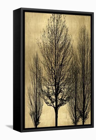 Tree Silhutette on Gold II-Kate Bennett-Framed Stretched Canvas