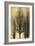 Tree Silhutette on Gold II-Kate Bennett-Framed Art Print