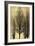 Tree Silhutette on Gold II-Kate Bennett-Framed Art Print