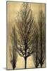 Tree Silhutette on Gold II-Kate Bennett-Mounted Art Print