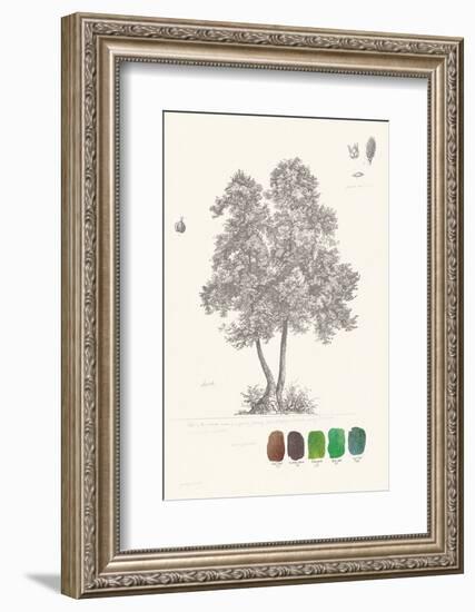 Tree Sketch - Birch-Maria Mendez-Framed Art Print