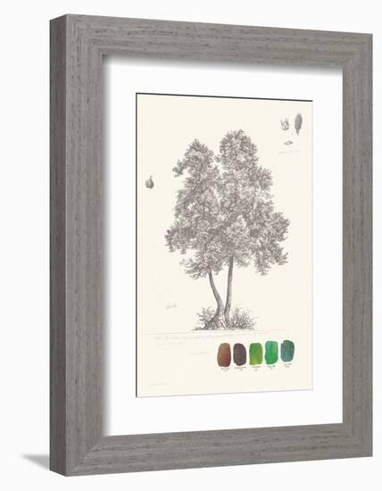 Tree Sketch - Birch-Maria Mendez-Framed Art Print