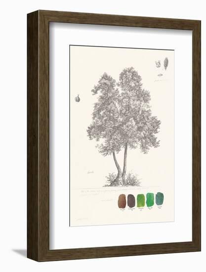 Tree Sketch - Birch-Maria Mendez-Framed Art Print