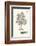 Tree Sketch - Birch-Maria Mendez-Framed Art Print