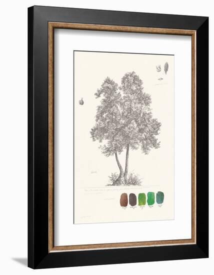 Tree Sketch - Birch-Maria Mendez-Framed Art Print