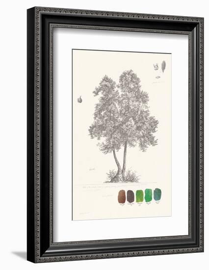 Tree Sketch - Birch-Maria Mendez-Framed Art Print