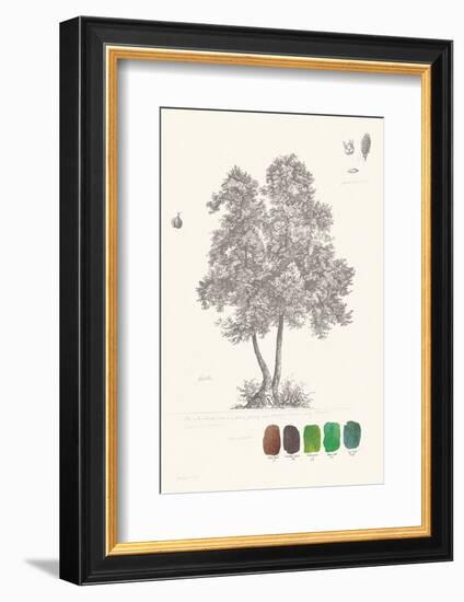 Tree Sketch - Birch-Maria Mendez-Framed Art Print