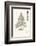 Tree Sketch - Larch-Maria Mendez-Framed Art Print