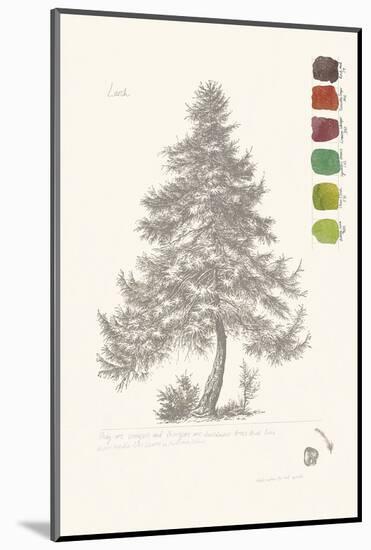 Tree Sketch - Larch-Maria Mendez-Mounted Art Print