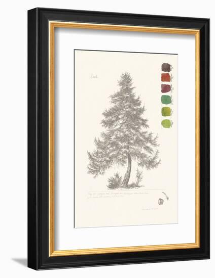 Tree Sketch - Larch-Maria Mendez-Framed Art Print