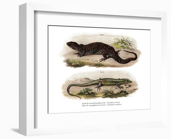 Tree Skink-null-Framed Giclee Print