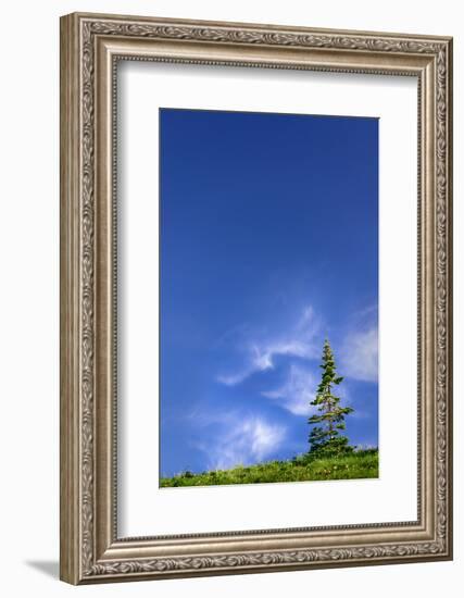 Tree Space 1-Ursula Abresch-Framed Photographic Print