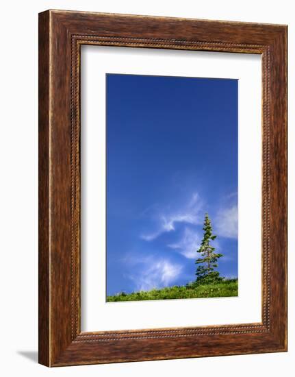 Tree Space 1-Ursula Abresch-Framed Photographic Print